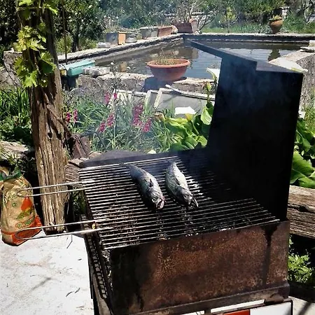 Il Ciliegio לינה וארוחת בוקר Chiusa Sclafani