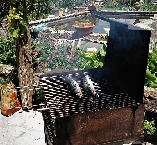 Il Ciliegio Отель типа 