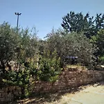 B&B Il Ciliegio