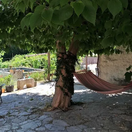 Il Ciliegio