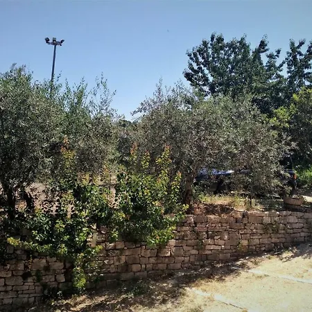Panzió Il Ciliegio